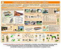 Комплект плакатов "Кинология" - fgospostavki.ru - Уссурийск