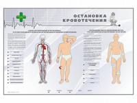 Электрифицированный стенд "Остановка кровотечения" - fgospostavki.ru - Уссурийск