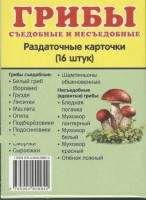 Раздаточные карточки "Грибы съедобные и не съедобные" - fgospostavki.ru - Уссурийск