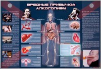Электрифицированный стенд "Вредные привычки: алкоголизм" - fgospostavki.ru - Уссурийск