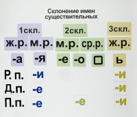 Набор магнитных карточек "Склонение имен существительных" - fgospostavki.ru - Уссурийск