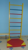 Стенка гимнастическая шведская цветная (800х2300 миллиметров) - fgospostavki.ru - Уссурийск