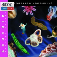 Биология. Микрофотографии. (Цифровая база изображений) - fgospostavki.ru - Уссурийск