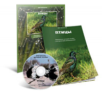 Электронное наглядное пособие «Птицы» - fgospostavki.ru - Уссурийск