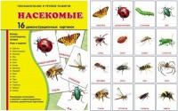 Демонстрационные карточки "Насекомые" - fgospostavki.ru - Уссурийск