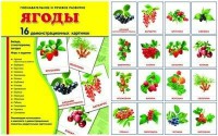 Демонстрационные карточки "Ягоды" - fgospostavki.ru - Уссурийск