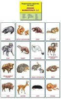 Раздаточные карточки "Дикие животные (1)" - fgospostavki.ru - Уссурийск