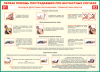 Таблица "Порядок действий при ранениях и термических ожогах" (100х140 сантиметров, винил) - fgospostavki.ru - Уссурийск