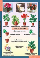 Комплект таблиц. Окружающий мир 1 класс. - fgospostavki.ru - Уссурийск