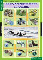 Комплект таблиц. Окружающий мир 4 класс. - fgospostavki.ru - Уссурийск