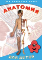 DVD "Анатомия для детей" - fgospostavki.ru - Уссурийск