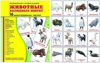 Демонстрационные карточки "Животные холодных широт" - fgospostavki.ru - Уссурийск