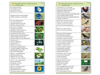 Комплект карточек (10) "Обучающий калейдоскоп. Природа" - fgospostavki.ru - Уссурийск
