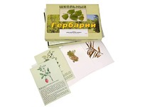 Гербарий "Для начальной школы" (30 видов, с иллюстрациями) - fgospostavki.ru - Уссурийск