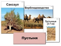 Модель-аппликация "Природные зоны России" (ламинированная) - fgospostavki.ru - Уссурийск