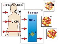 Модель-аппликация "Явление радиоактивности" (ламинированная) - fgospostavki.ru - Уссурийск