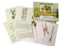 Гербарий "Систематика растений. Семейство Бобовые. Злаки" (раздаточный) - fgospostavki.ru - Уссурийск