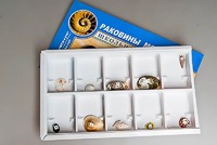 Коллекция "Раковины моллюсков" - fgospostavki.ru - Уссурийск