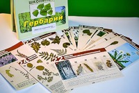 Гербарий к курсу основ общей биологии - fgospostavki.ru - Уссурийск