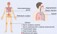 Интерактивные курсы. Биология 9 класс. Базовый. - fgospostavki.ru - Уссурийск