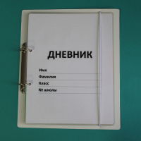 Дневник школьника (с полным набором карточек) - fgospostavki.ru - Уссурийск