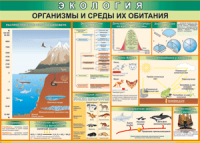 Таблица "Организмы и среды их обитания" (100х140 сантиметров, винил) - fgospostavki.ru - Уссурийск
