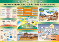 Таблица "Антропогенное воздействие на биосферу" (100х140 сантиметров, винил) - fgospostavki.ru - Уссурийск