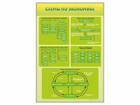 Стенды "Схемы по экономике" - fgospostavki.ru - Уссурийск