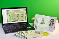 Гербарий натурально-интерактивный "Культурные растения" - fgospostavki.ru - Уссурийск