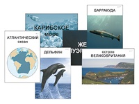 Модель-аппликация "Океаны. Знакомство" (ламинированная) - fgospostavki.ru - Уссурийск