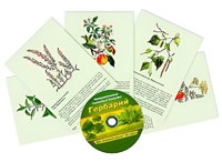 Интерактивный наглядный комплекс "Гербарий "Для начальной школы" - fgospostavki.ru - Уссурийск