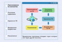 Интерактивные курсы. Информатика 10 класс . Базовый. - fgospostavki.ru - Уссурийск
