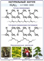 Комплект демонстрационных таблиц по химии "Полимеры" (комплект 12 таблиц) - fgospostavki.ru - Уссурийск