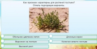 Интерактивные курсы. Окружающий мир 3 класс . Базовый. - fgospostavki.ru - Уссурийск