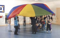Парашют (вариант 2) - fgospostavki.ru - Уссурийск