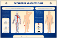 Электрифицированный стенд-тренажер "Остановка кровотечения" - fgospostavki.ru - Уссурийск