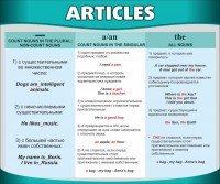 Стенд "Артикли" - fgospostavki.ru - Уссурийск
