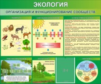 Стенд "Экология. Организация и функционирование сообществ" - fgospostavki.ru - Уссурийск