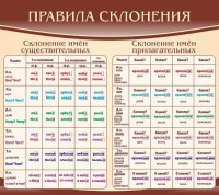 Стенд "Правила склонения" - fgospostavki.ru - Уссурийск