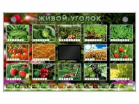 Комплект оборудования "Живой уголок" (растения) - fgospostavki.ru - Уссурийск