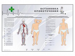 Электрифицированный стенд "Остановка кровотечения" - fgospostavki.ru - Уссурийск
