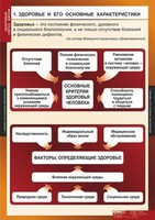 Комплект таблиц. ОБЖ. Здоровый образ жизни. - fgospostavki.ru - Уссурийск