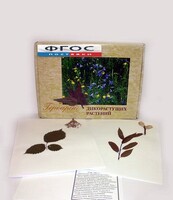 Гербарий "Дикорастущие растения" (28 видов) - fgospostavki.ru - Уссурийск