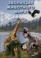 DVD "Эволюция животного мира" - fgospostavki.ru - Уссурийск