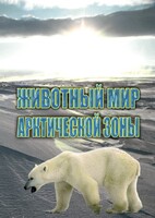 DVD "Животный мир Арктической зоны" - fgospostavki.ru - Уссурийск