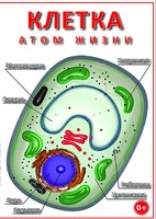 DVD "Клетка - "атом жизни" - fgospostavki.ru - Уссурийск