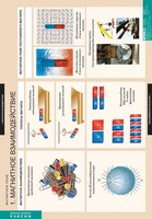 Комплект таблиц. Физика. Магнитное поле. - fgospostavki.ru - Уссурийск