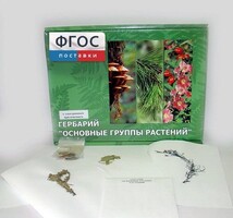 Гербарий "Основные группы растений" (52 листа) - fgospostavki.ru - Уссурийск