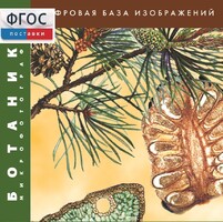 Ботаника. Микрофотографии. (Цифровая база изображений) - fgospostavki.ru - Уссурийск