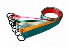 Лента гимнастическая на кольце (0,25 метра) - fgospostavki.ru - Уссурийск